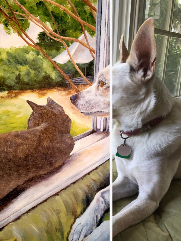 before and after pet portrait